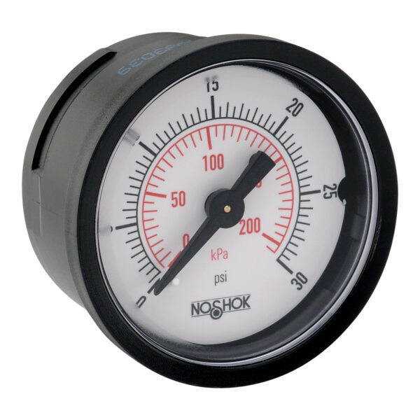 15-110-100-psi/kPa-BP1