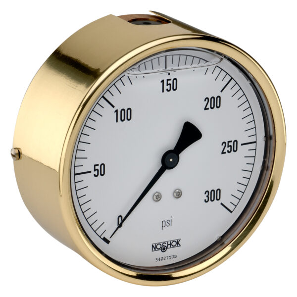 40-310-30-psi/bar