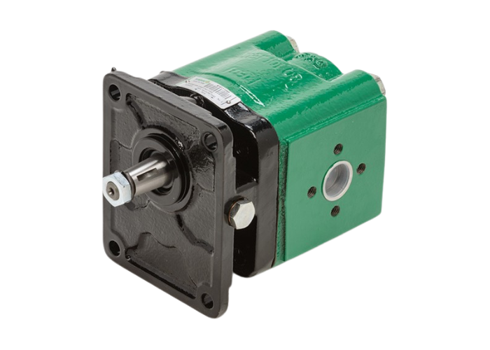 Salami hydraulic gear motor