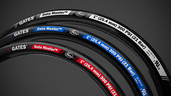 data-master-combined-rendering-5