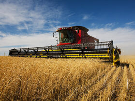 Combine harvester working on a wheat crop